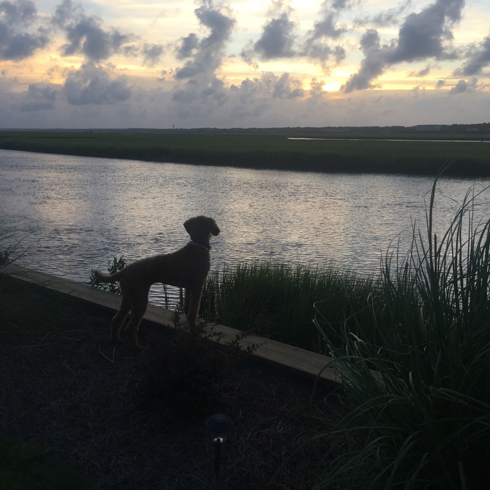 Meet your Posher, Lindsay